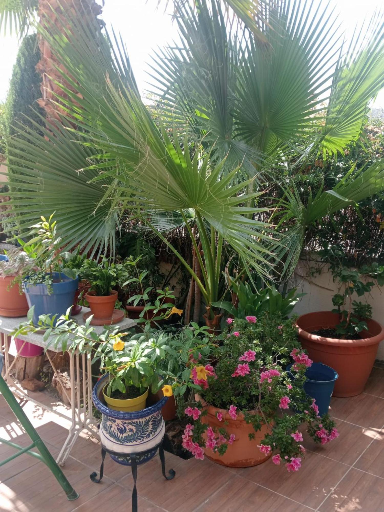 La Cabana Nevada Cenes De La Vega Ngoại thất bức ảnh
